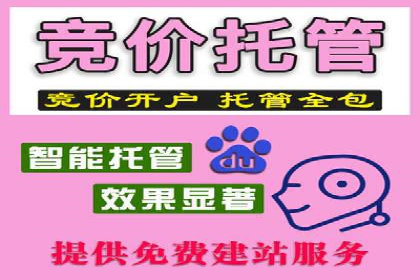 探索百度竞价广告的未来趋势：基于多案例的分析